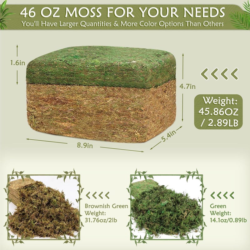 MAPVOLUT Store Artificial Moss - 45.86 OZ (2.89LB) - Premium Fake Moss Versatile for Crafts & Décor - Natural Look, Low Maintenance, Perfect for Fairy Gardens, Terrariums, Wedding Decor & Faux Potted Plants - Image 3